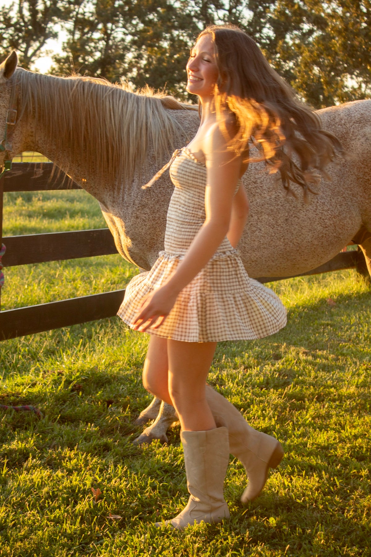 Anslee Brown Gingham Mini Dress