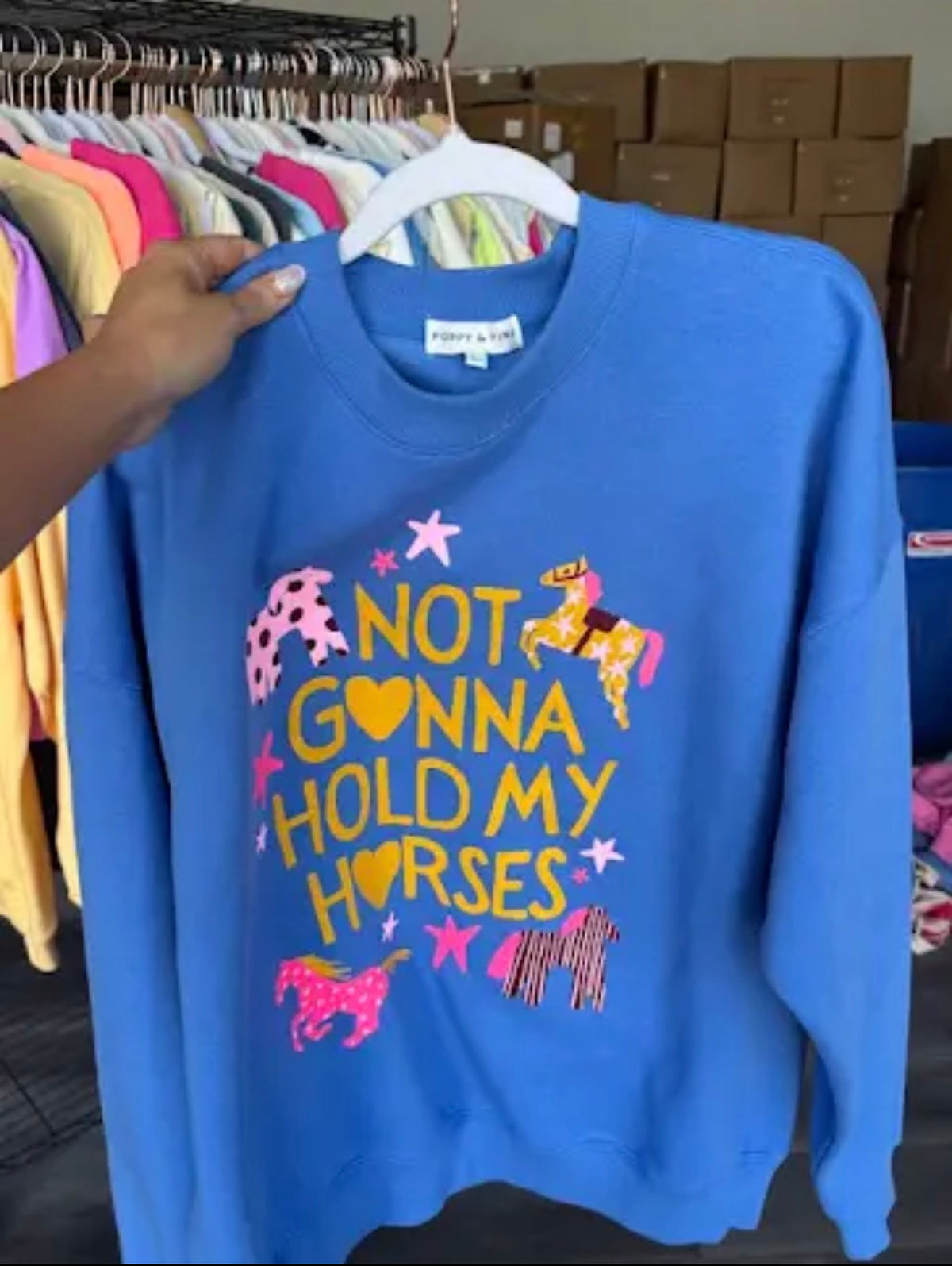 Not Gonna Hold My Horses Sweatshirt