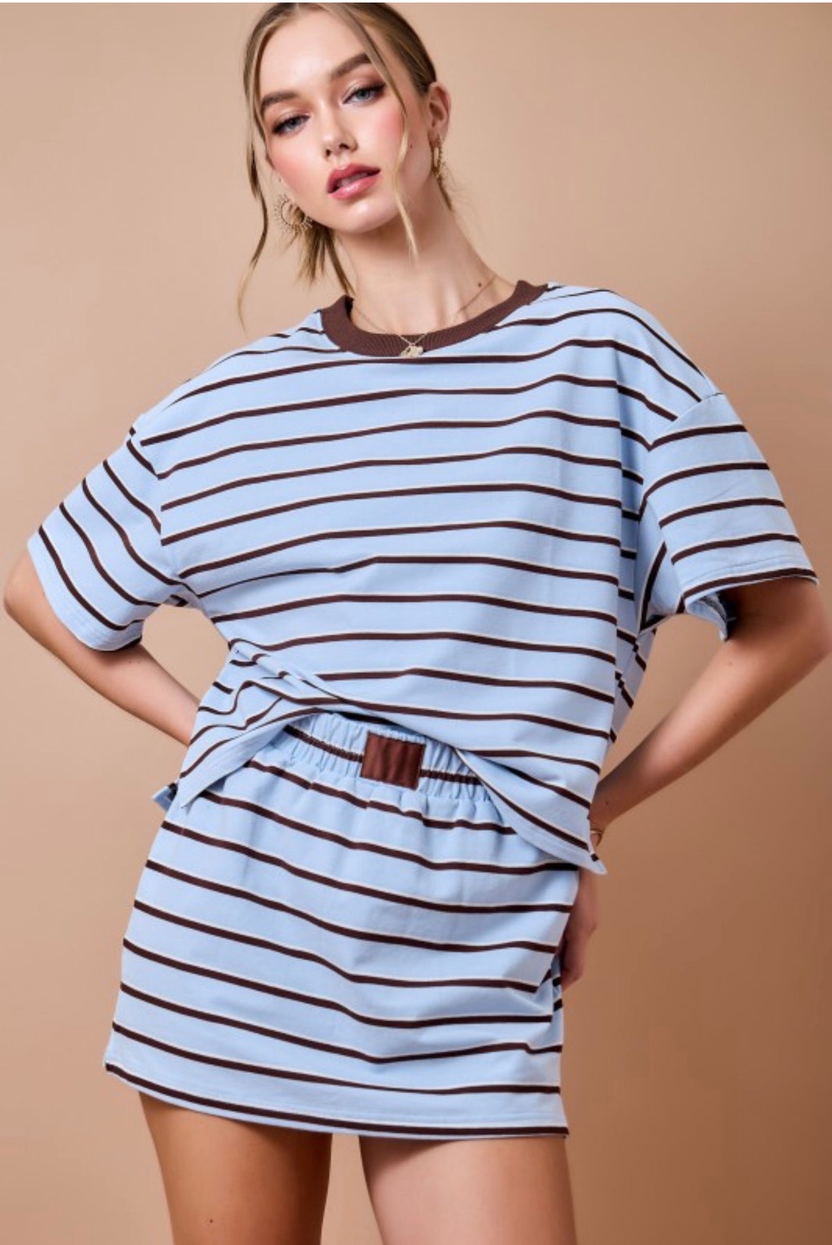 Blue/Ivory/Brown Striped Boxy Top
