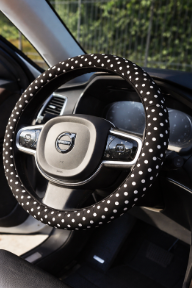 Car Accessories