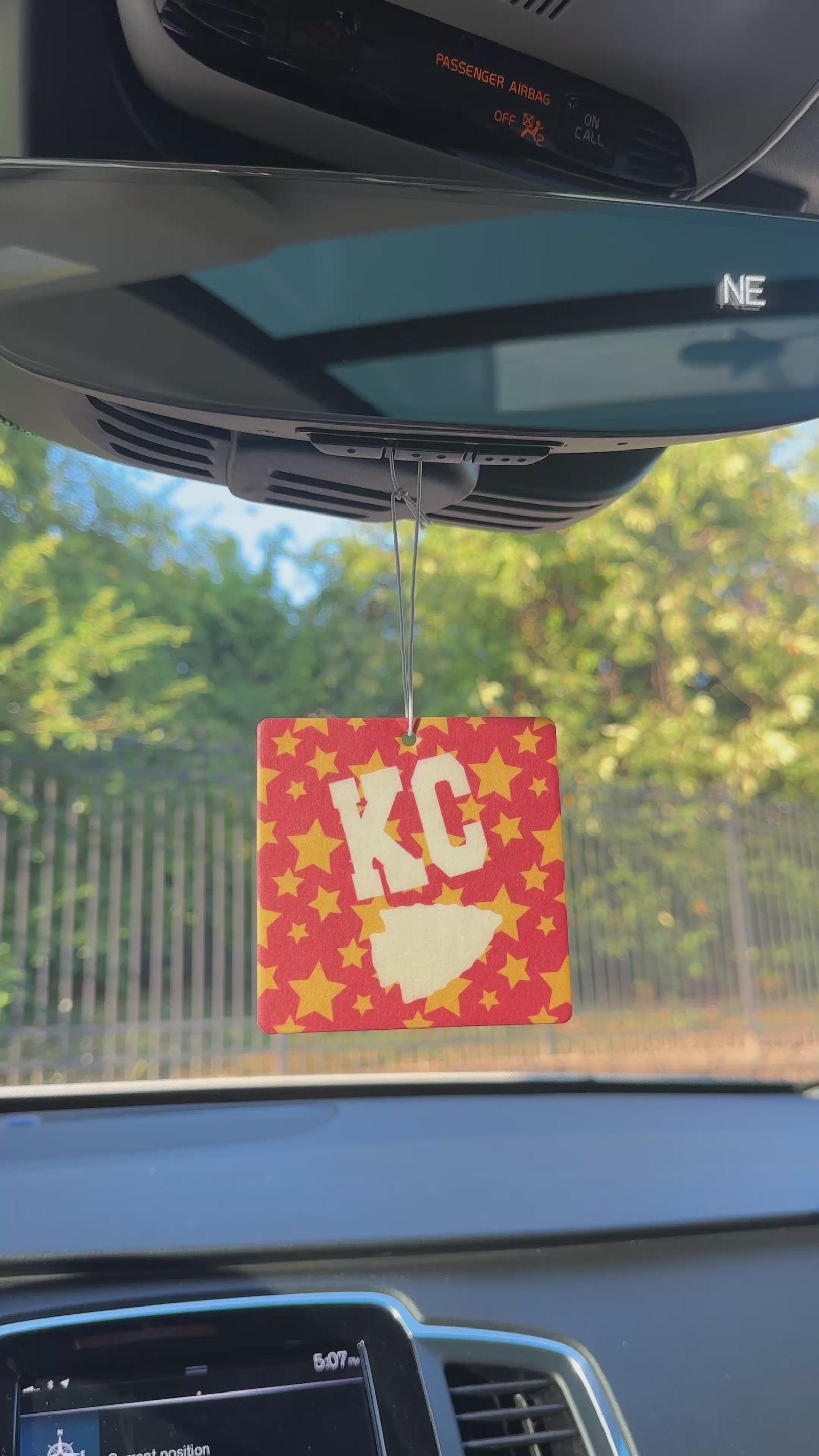 Texas Car Air Freshener 4-Pack