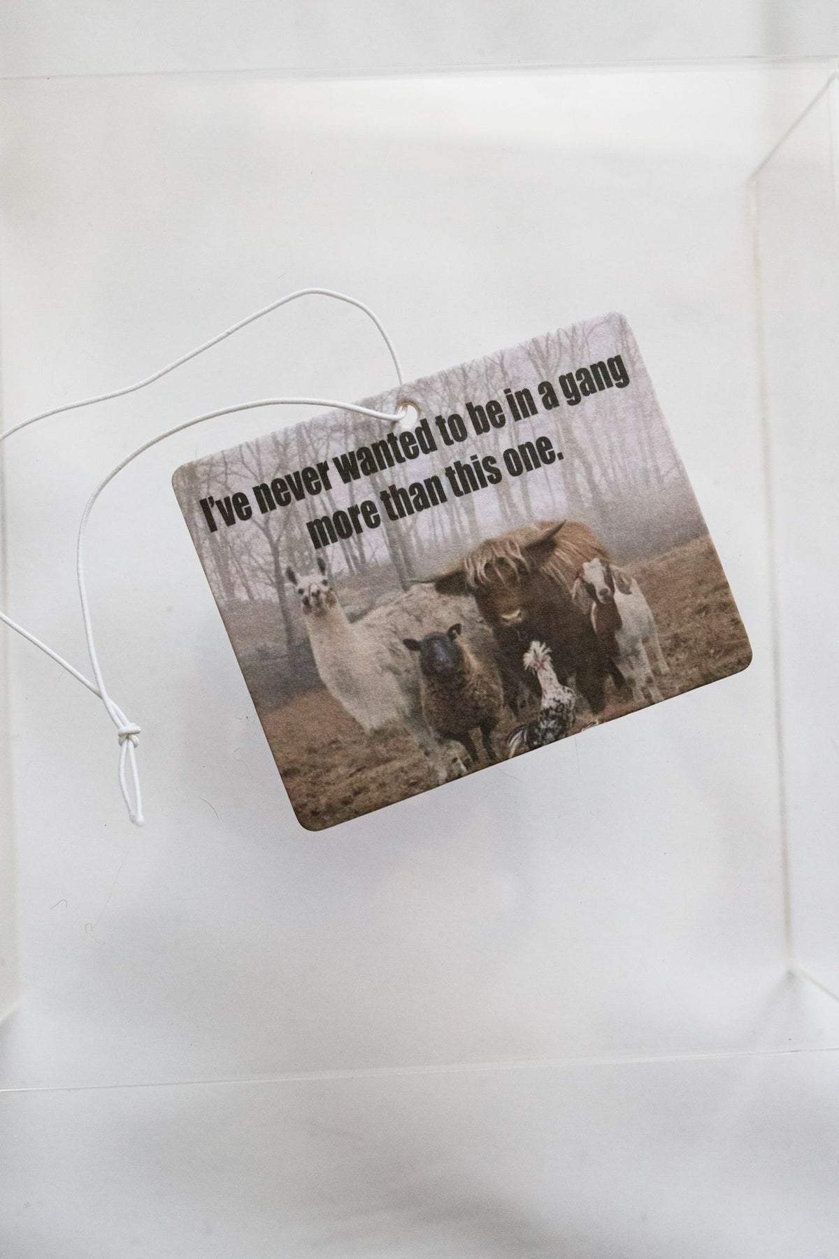 Gang Air Freshener Single